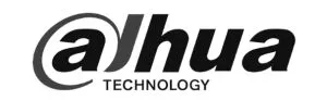 dahua